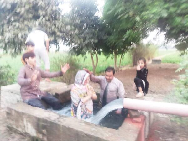 Baptisms photo
